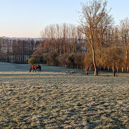 Le Haras D Havetot Hotel Anctoville Bagian luar foto