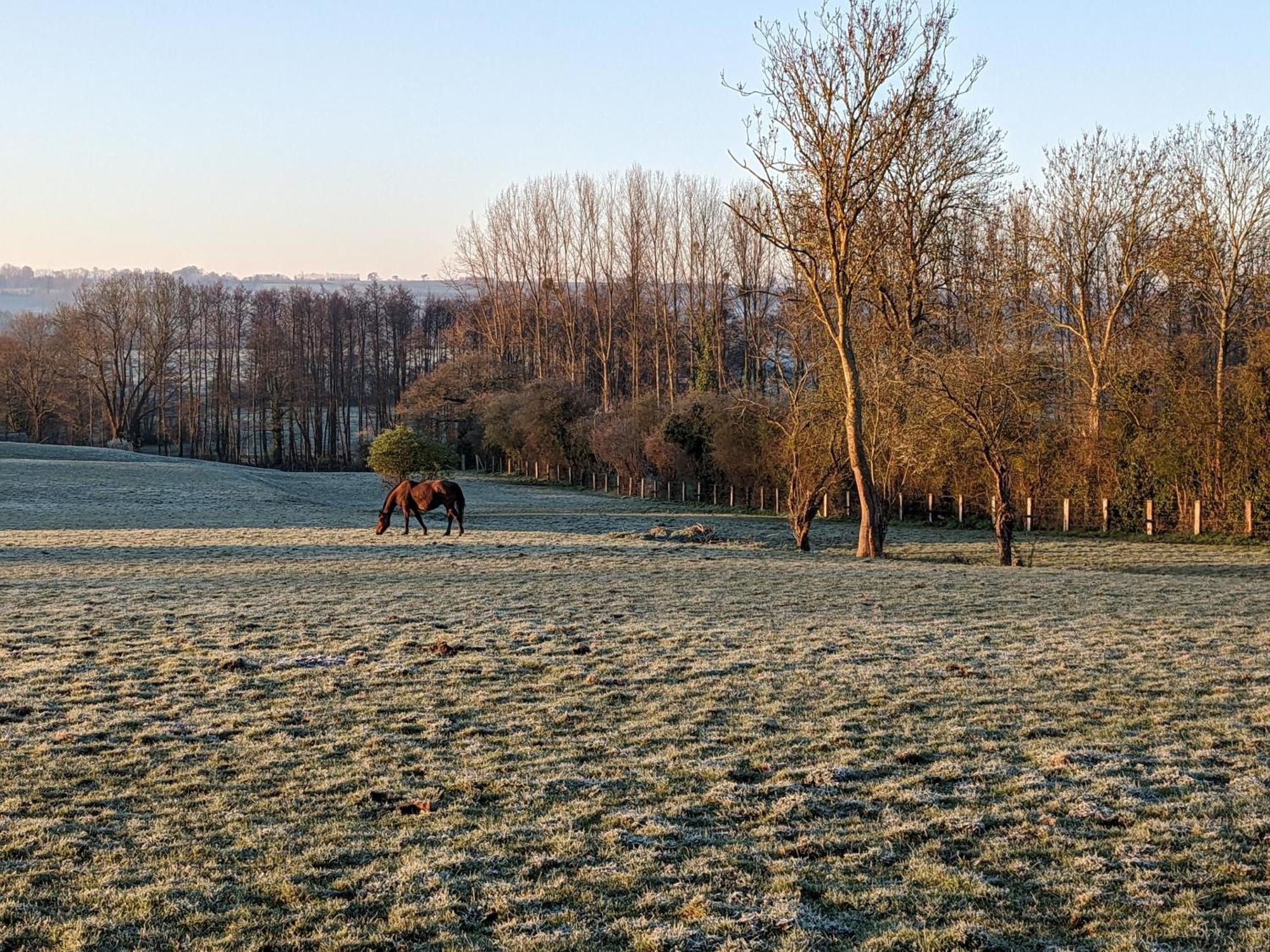 Le Haras D Havetot Hotel Anctoville Bagian luar foto